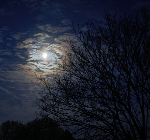 volle maan 5 december